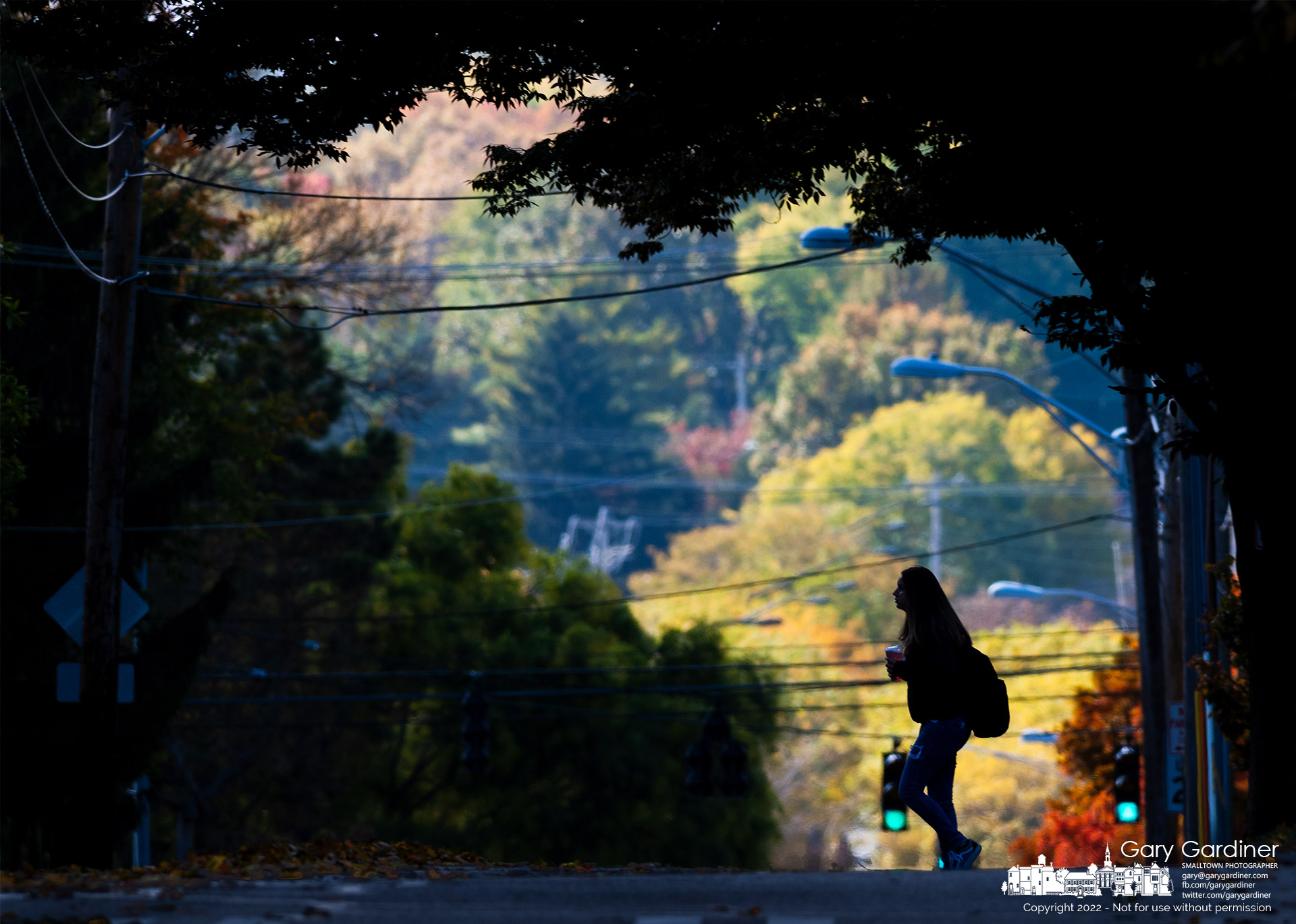 An Otterbein University student crosses Main Street in afternoon shadows at the pedestrian crossing near Grove Street with a background of fall colors. My Final Photo for October 13, 2022.
