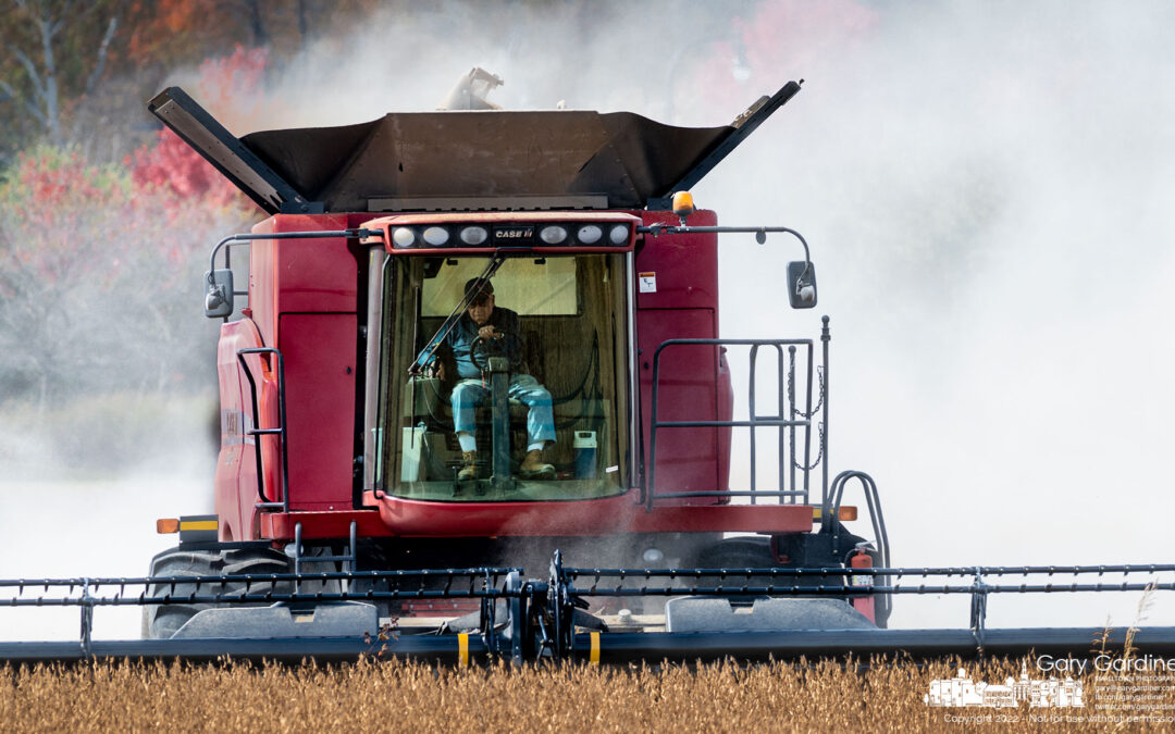 Harvest Dusting