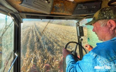 Combining Corn From The Cab