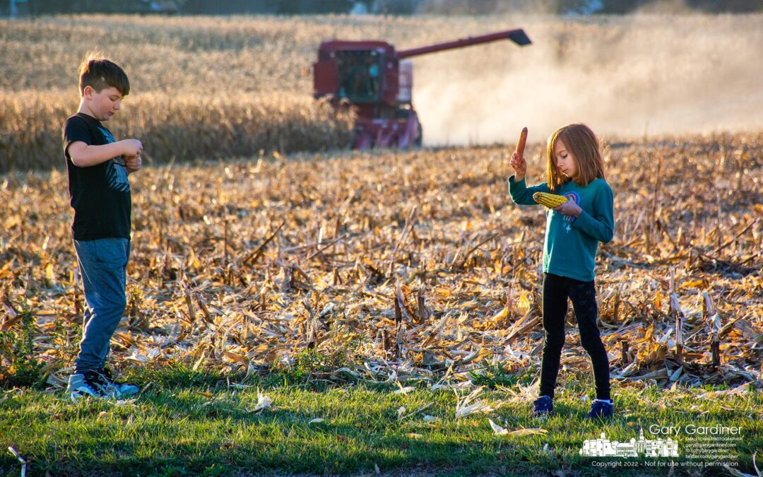 Corn Play