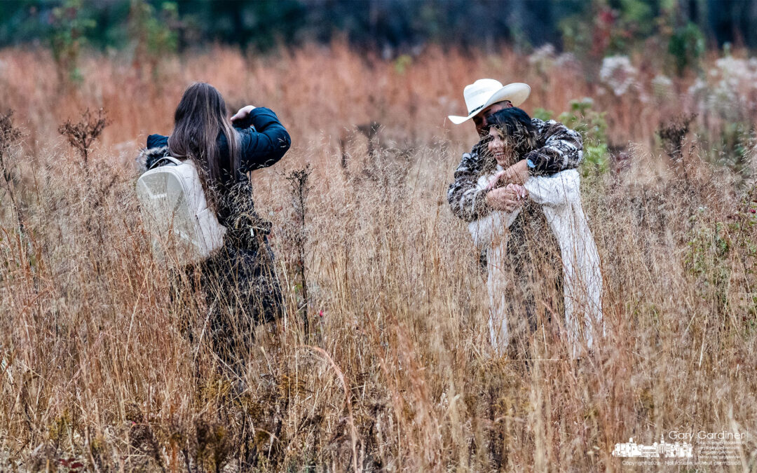 Tall Grass Photos