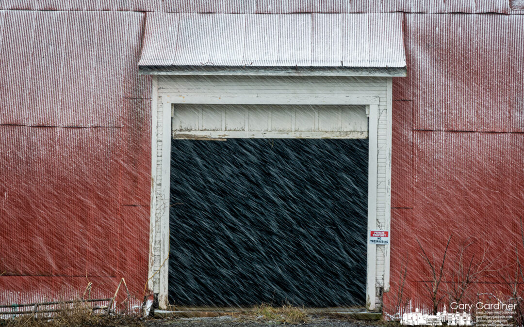 Braun Farm Flurries