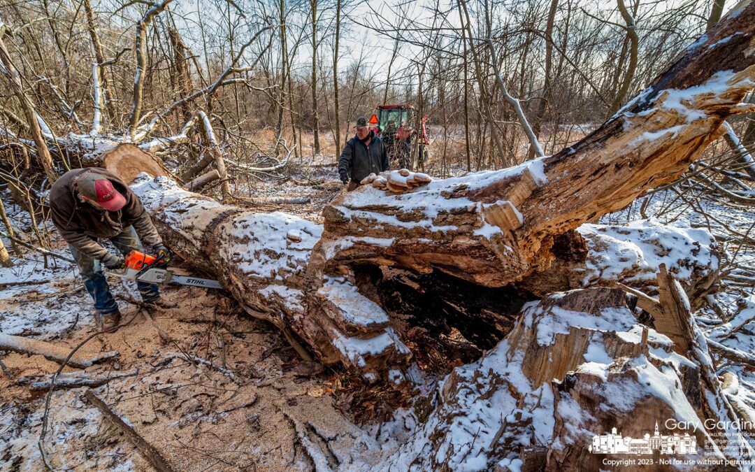 Fetching Firewood