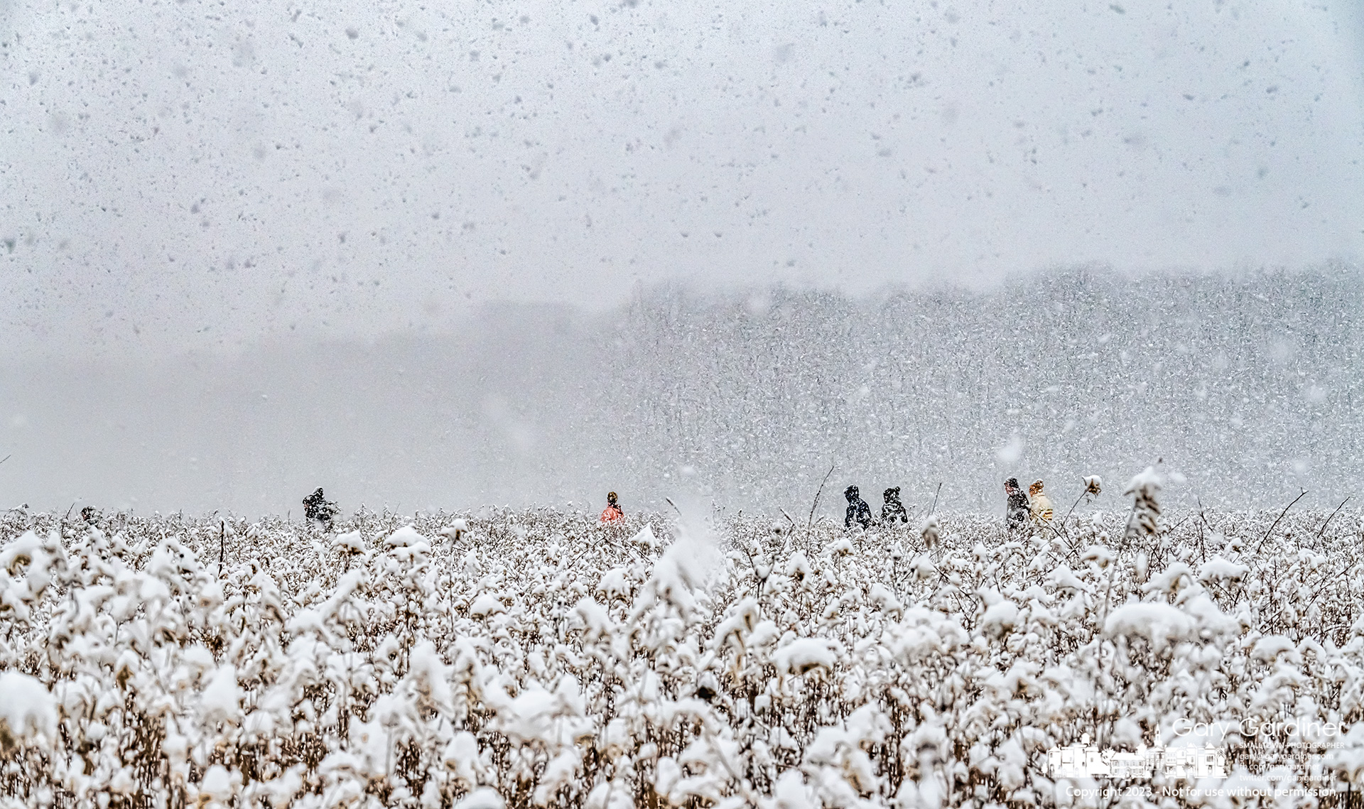 A band of intrepid walkers traverses their way through a snow-covered path through the prairie at Sharon Woods Metro Park during a Sunday morning snowfall that left several inches of white powder for their outing. My Final Photo for January 22, 2023.