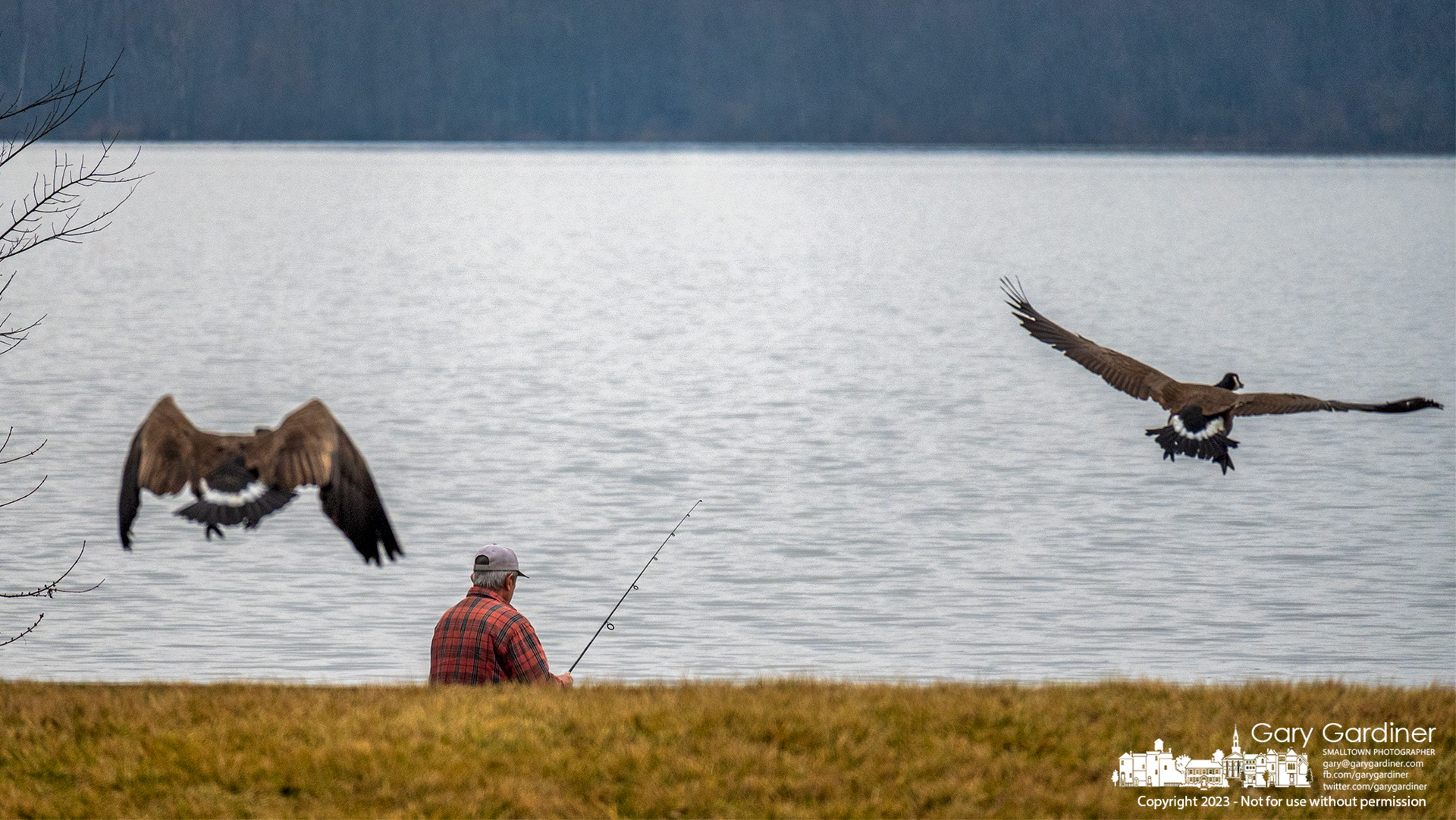 A pair of geese launch themselves over a fisherman hoping for a little angler's luck near the boat ramp at Red Bank Park on Hoover Reservoir. My Final Photo for February 16, 2023.