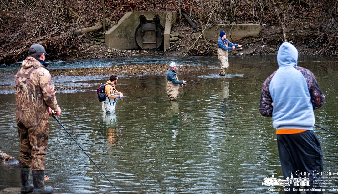 Five Fishing Friends