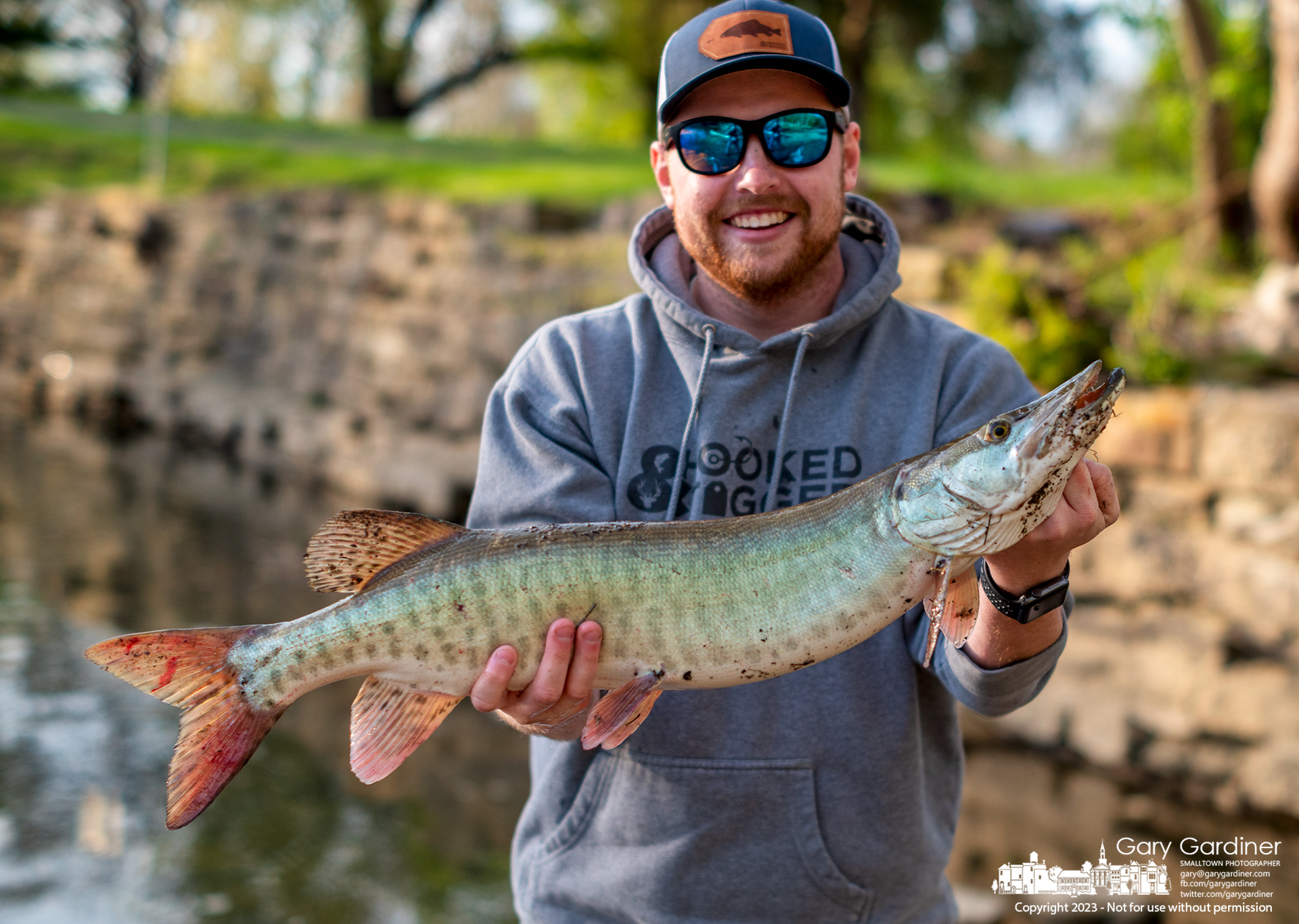 A fisherman bears a wide grin as he shows off the 30-inch muskie he pulled from the shallows beneath the Alum Creek Park North low-head dam. My Final Photo for April 26, 2023.