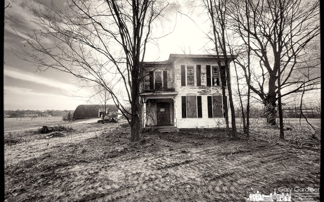 Braun Farm Morning