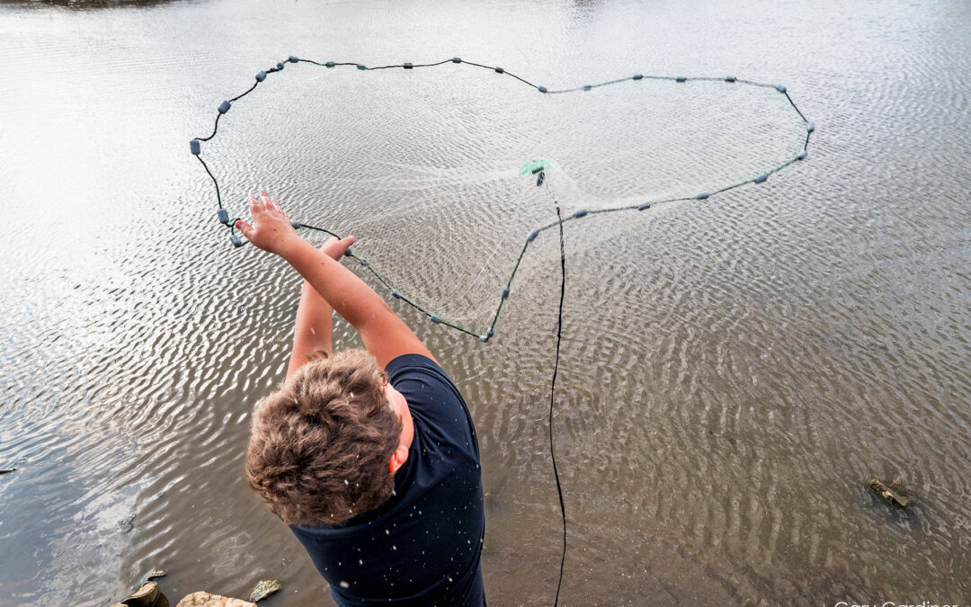 Wetlands Casting
