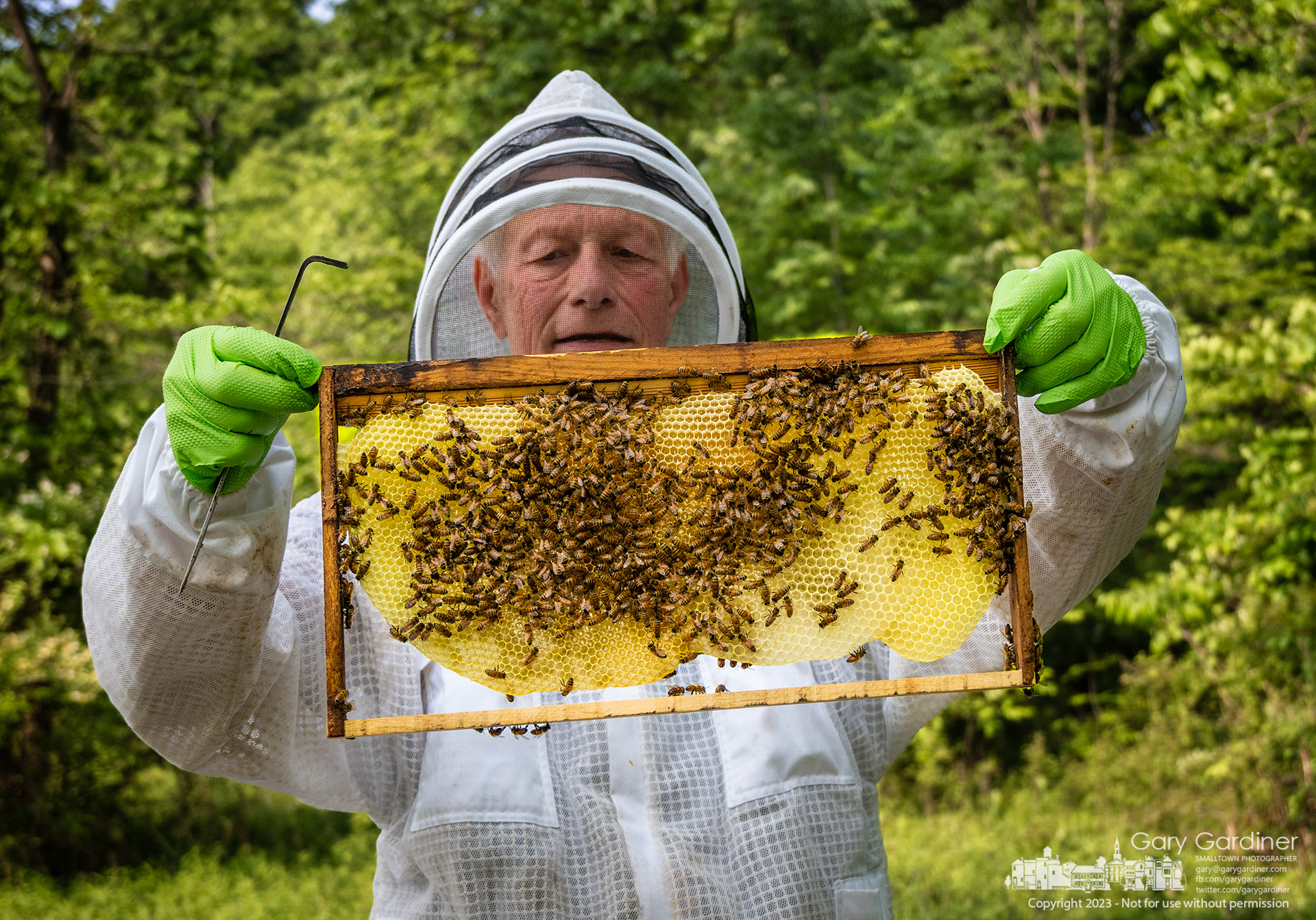 Beekeeper Billy Miller inspects one of the Sharon Woods Metro Park bee hives several weeks after installing the hives after a two-year absence in the park. My Final Photo for May 23, 2023.