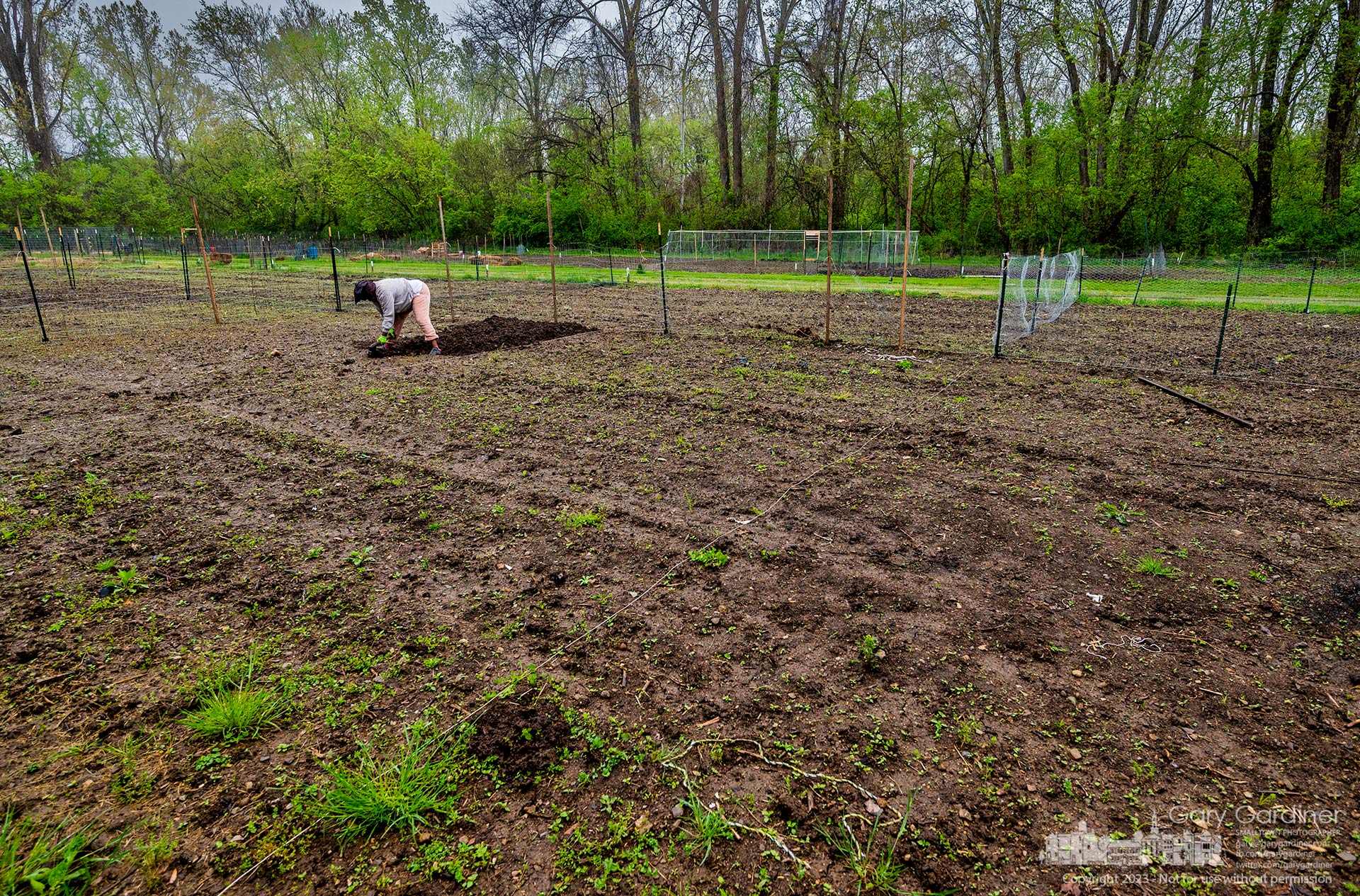A woman uses a hand tool to turn the earth at her plot in the Westerville Community Garden at the end of Hiawatha Street. My final Photo for May 1, 2023.
