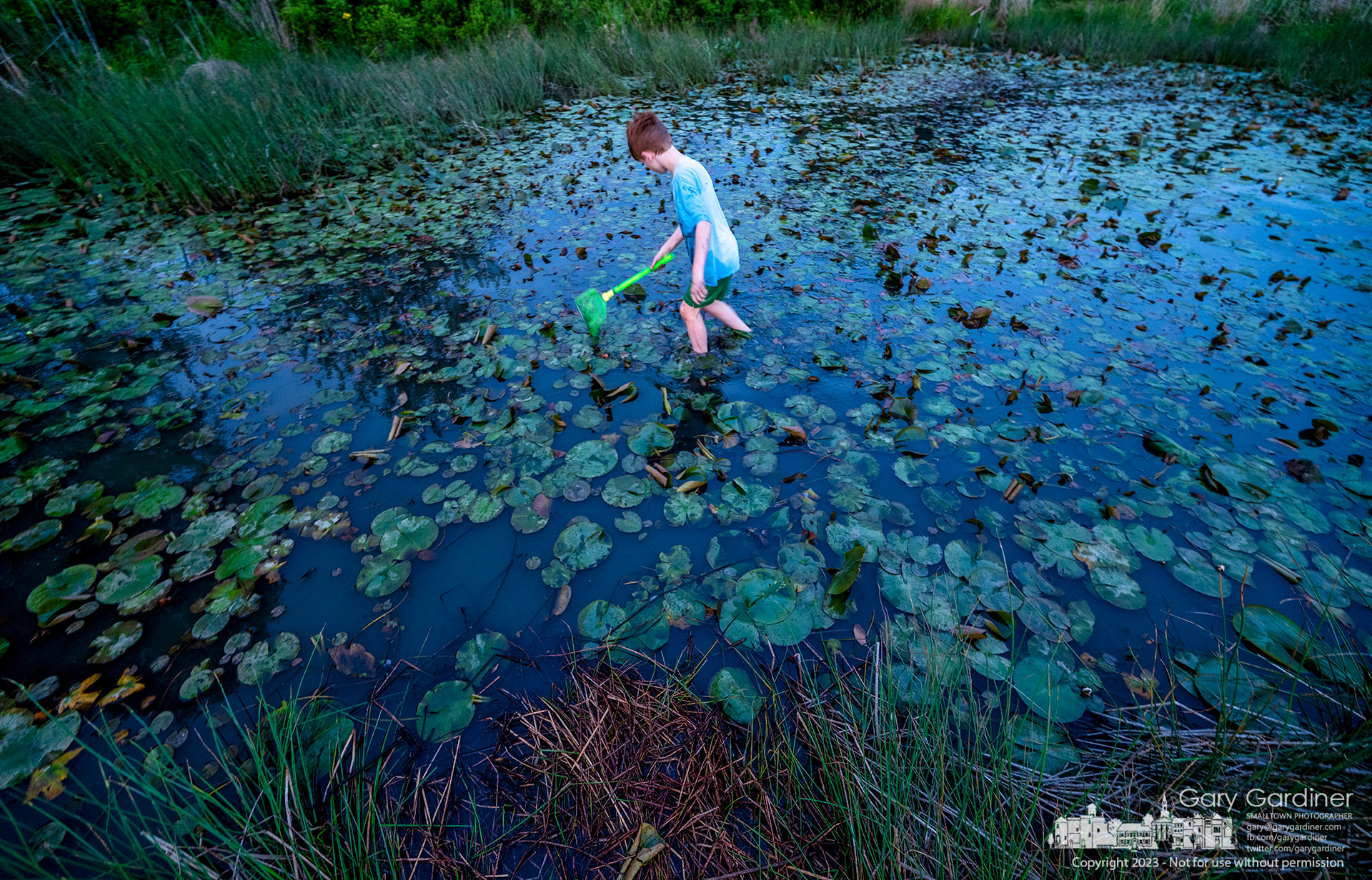 A youngster navigates his way through lily pads, aquatic plants, and mud searching for frogs, tadpoles, fishes, and snakes during Frog Friday at the Highlands wetlands. My Final Photo for May 19, 2023.