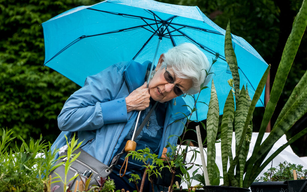 Under Blue Umbrella Skies
