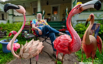 Flamingos On Vine