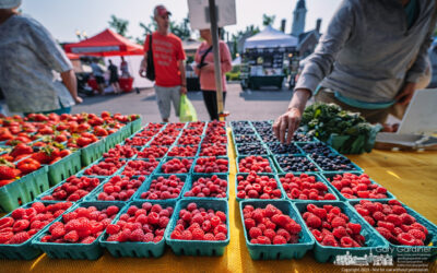 Fruitful Market Shopping