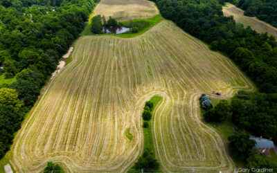 Cloudy Cutting