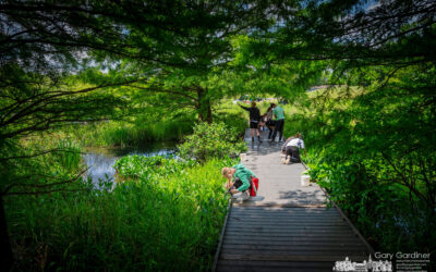 STEM Summer Camp At Wetlands