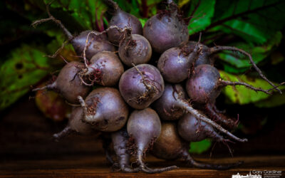 Summer Beets