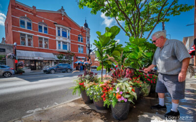 Uptown’s Public Private Garden