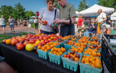 Lovely Tomatoes