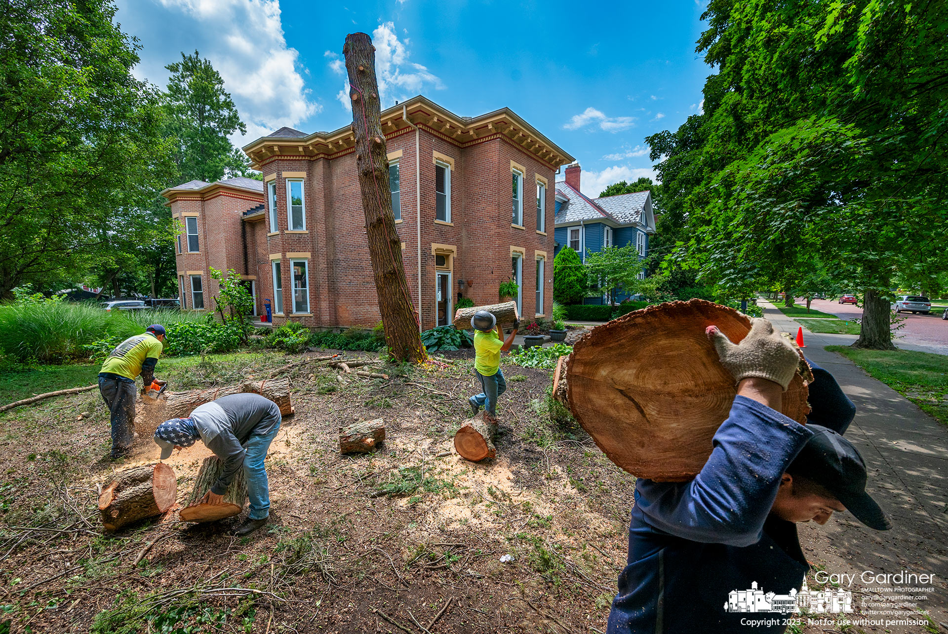 A tree removal crew clears sections of the upper trunk of a pine tree before felling the lower section in the front yard of a house on West College. My Final Photo for July 20, 2023.