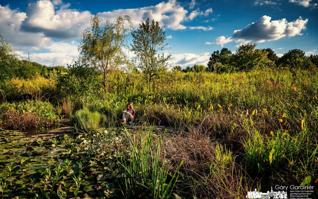 Wetlands Artist