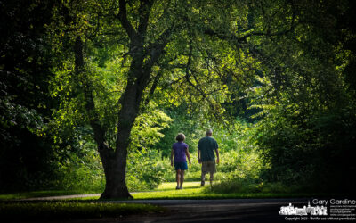 Afternoon In The Park