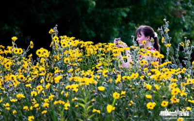 Stopping For The Flowers