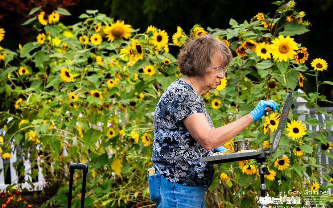 Heritage Sunflowers