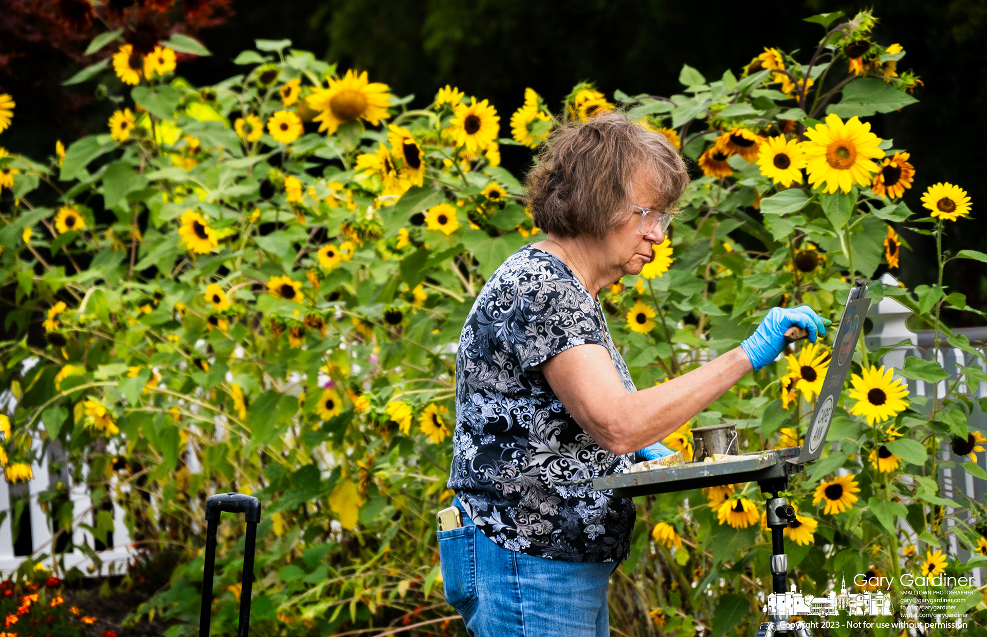 A plein air artist begins her art class lesson with painting sunflowers along the fence at the edge of Heritage Park in Westerville. My Final Photo for September 13, 2023.