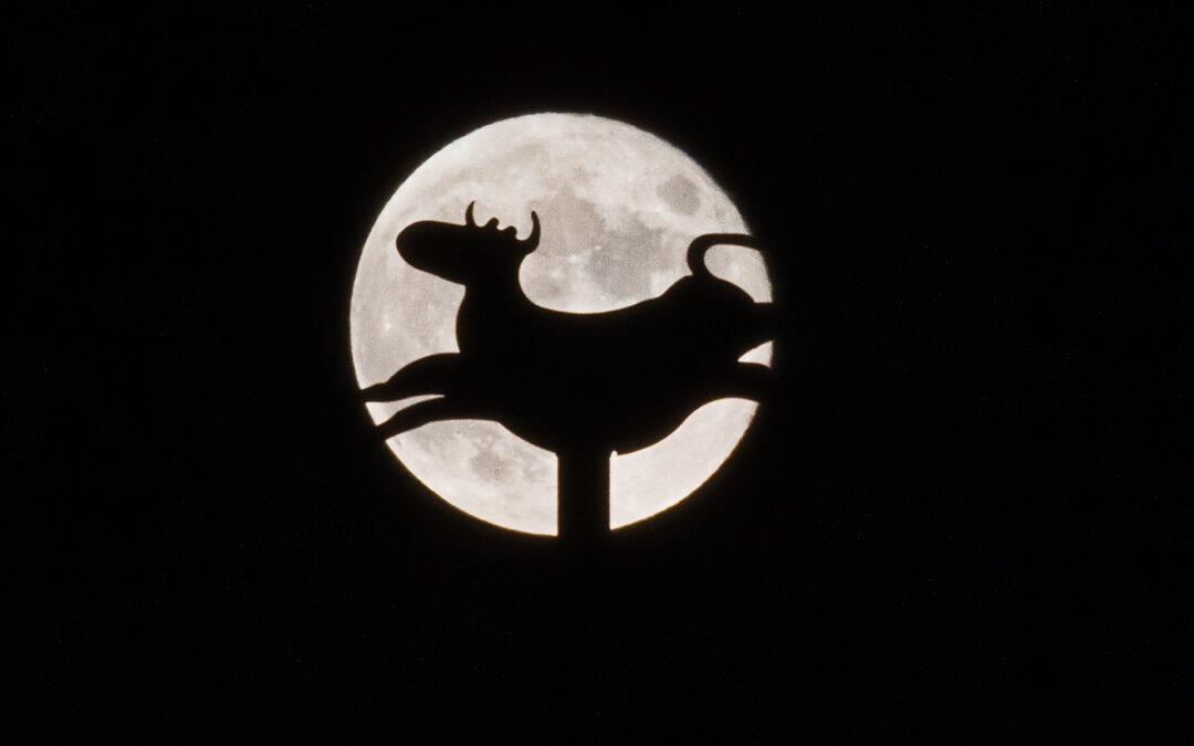 Supermoon Silhouette