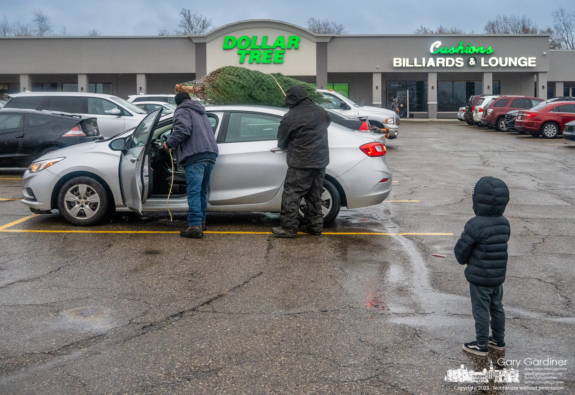 A young boy watches as the Christmas tree his parent chose for their home is tied to the roof of their car for the trip home. My Final Photo for November 26, 2023.