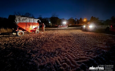 Night Harvest