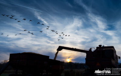 Combining Before Sunset