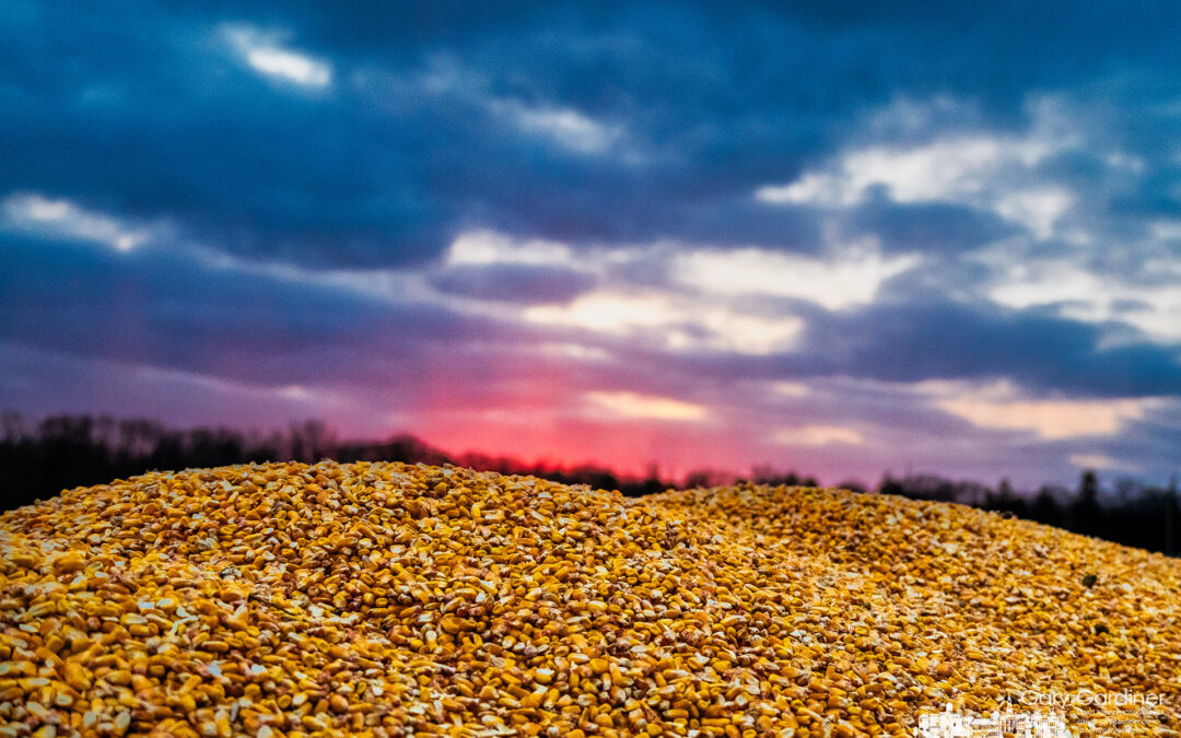 Final Harvest Wagon