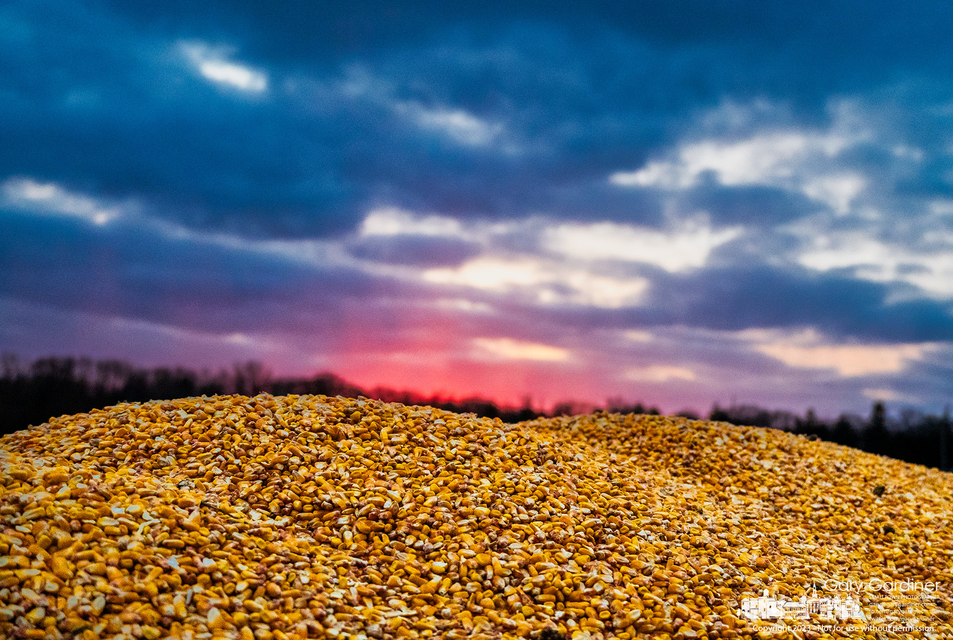 A mound of corn tops a full grain wagon waiting for transfer to an elevator as the sun sets on the final minutes of harvest at the Braun Farm property in Westerville. My Final Photo for November 28, 2023.