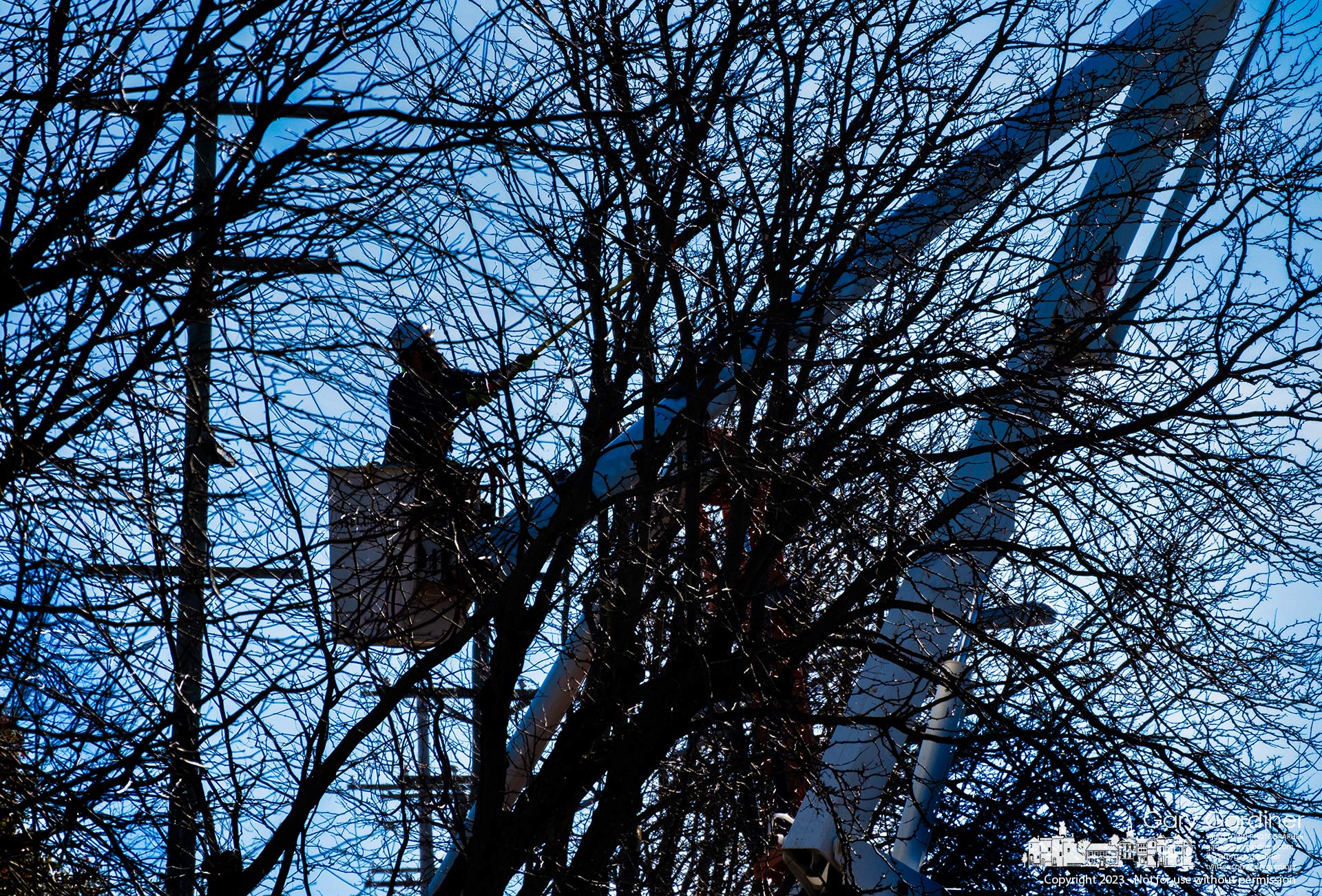 A tree trimmer is lost in a forest of tree trunks, limbs, and branches as he and a crew cleared AEP's power lines of possibly dangerous overhang along Cleveland Ave. My Final Photo for November 3, 2023.