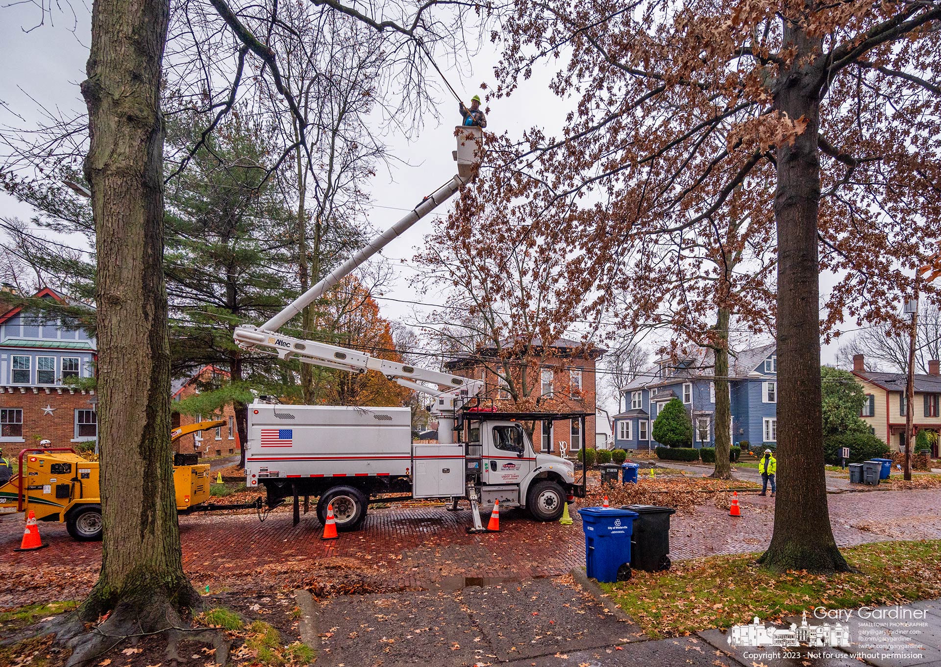 A city contractor cuts overhanging limbs from trees near power lines on West College Avenue to eliminate flickering lights caused by branches brushing the lines. My Final Photo for November 21, 2023.