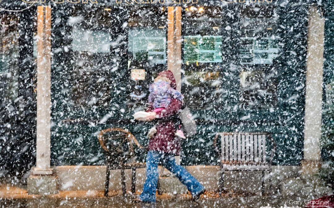 Snow Squall Stroll