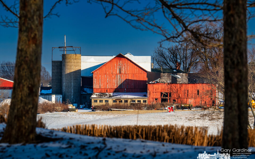 Winter Fallow Field