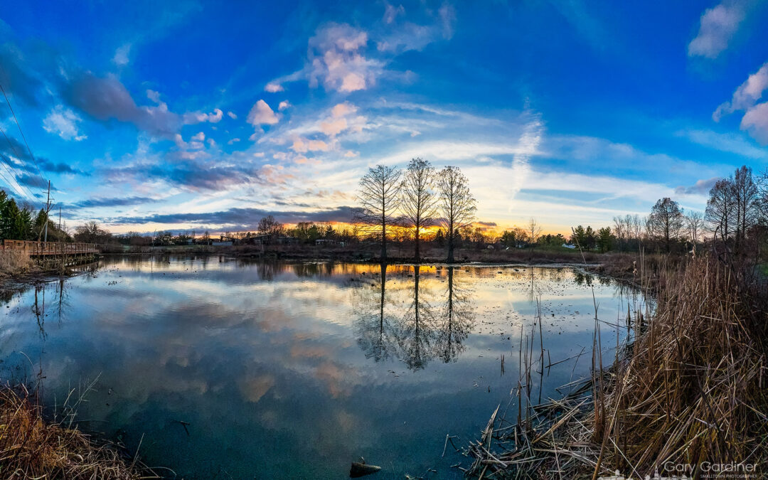 Three Trees Sunset