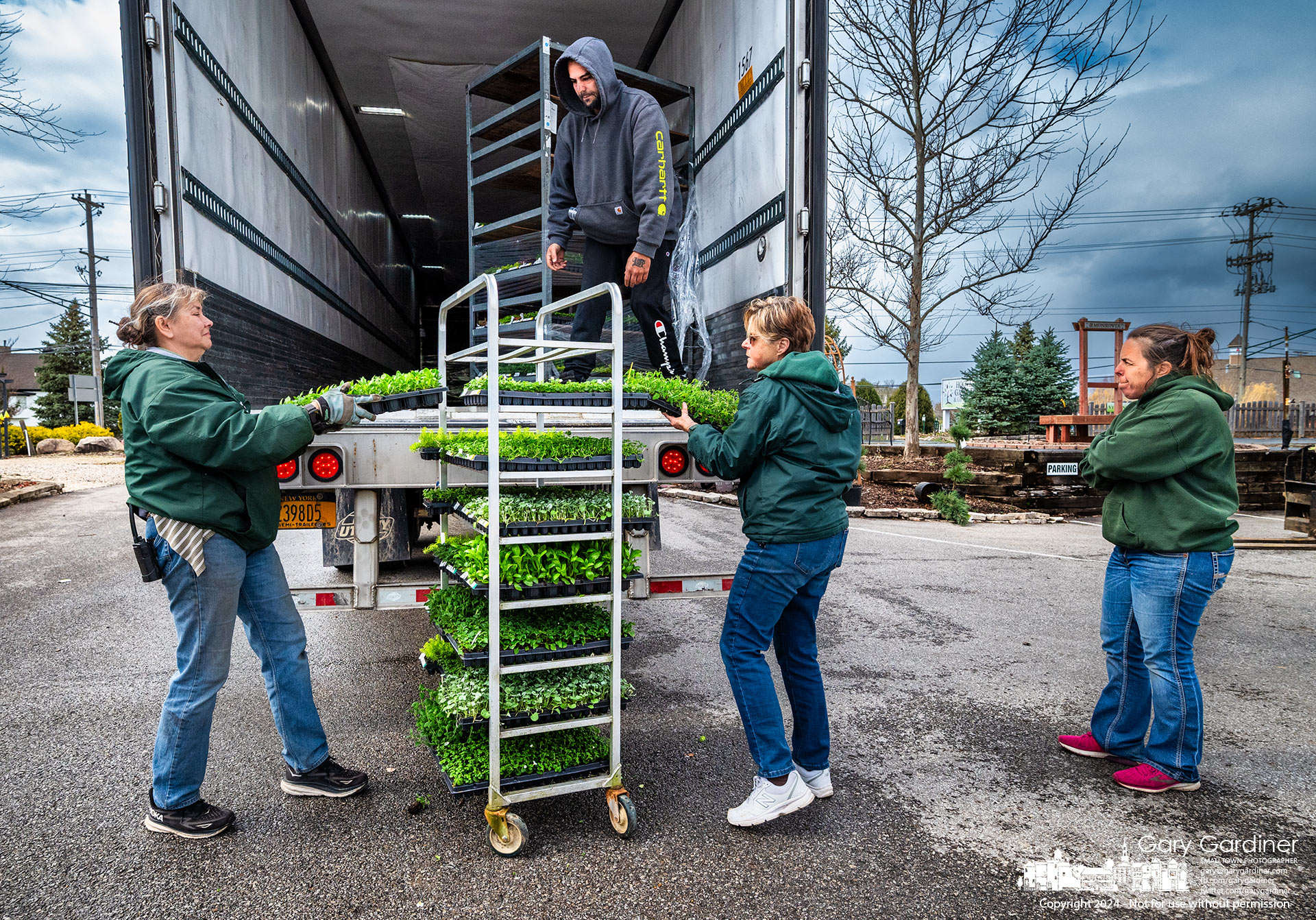 First of the season flower seedlings are off-loaded from a truck Sunday afternoon at Hoover Gardens in between thick flurries and despite strong wind. My Final Photo for March 10, 2024.