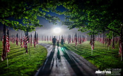 Foggy Field of Heroes