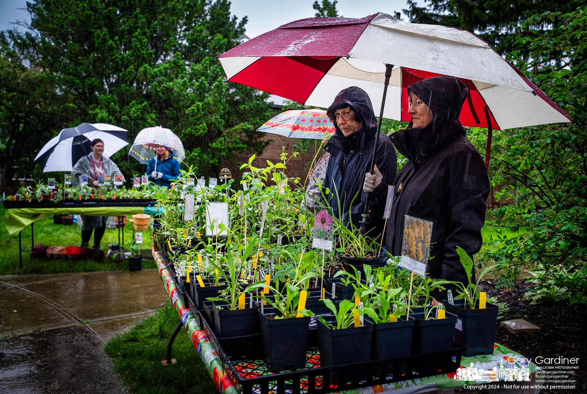 Volunteers and shoppers weathered early morning rain for the Westerville Garden Club's annual sale on the front lawn of the Masonic Lodge on South State Street. My Final Photo for May 11, 2024.