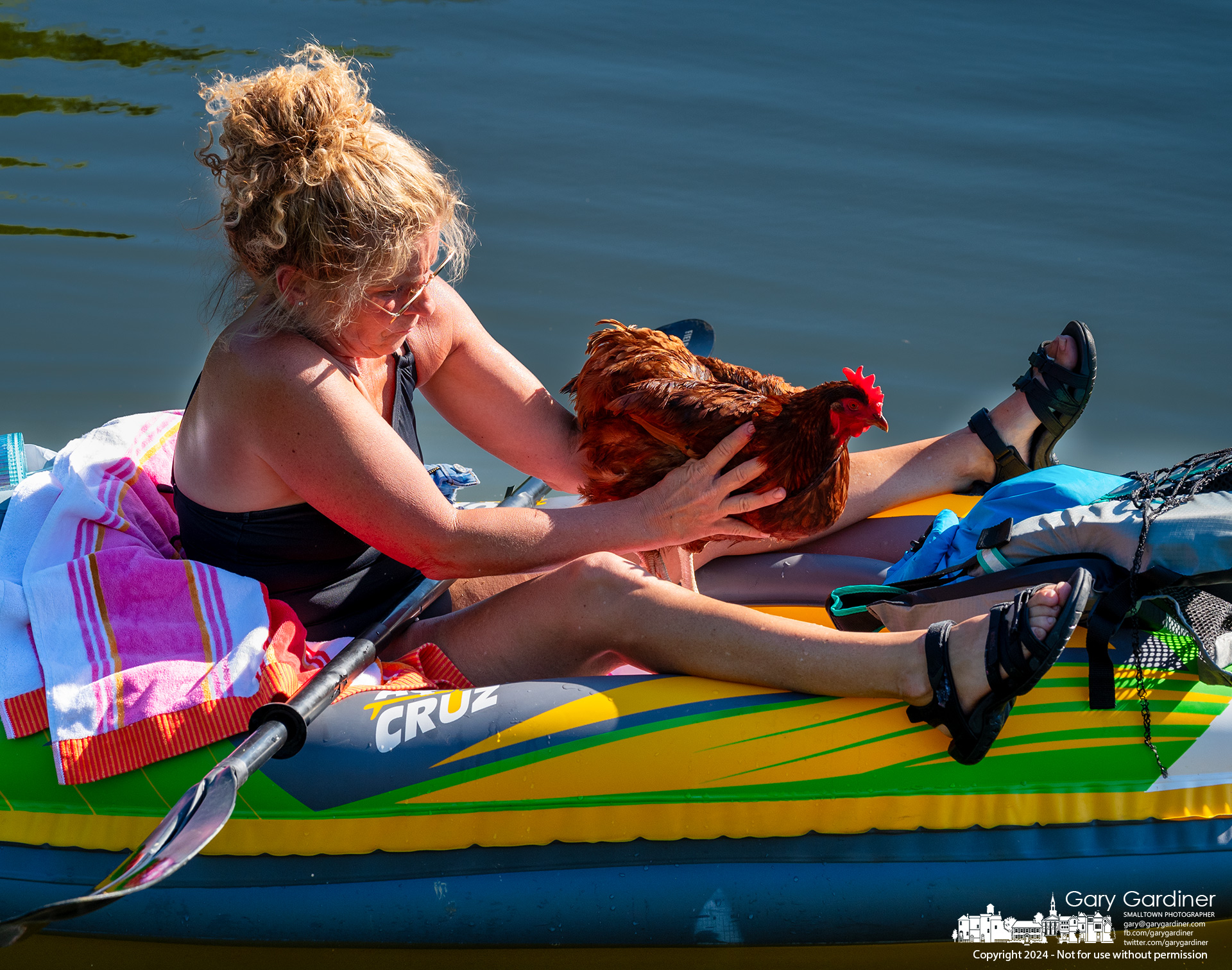 Mary Ann Akin settles Rudy, one of her five chickens, on its perch in the front of her kayak as she launches into Hoover Reservoir from the landing at Twin Bridges on Red Bank Road. My Final Photo for June 16, 2024.