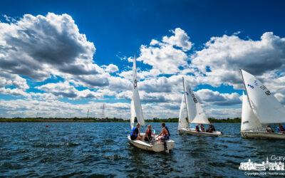 The Afternoon Race