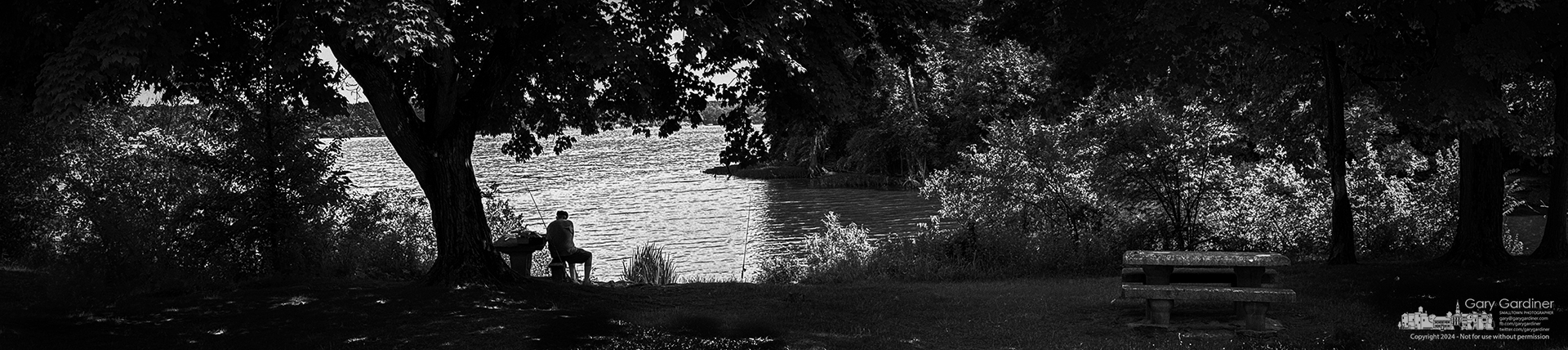 A lone fisherman sits in the shade of a maple tree as he casts his lines into Hoover Reservoir. My final Photo for June 25, 2024. 