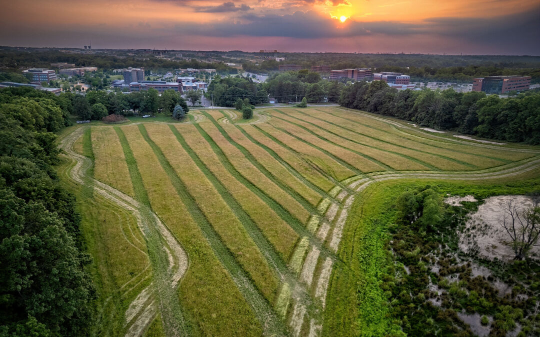 Cooler Time To Cut Hay