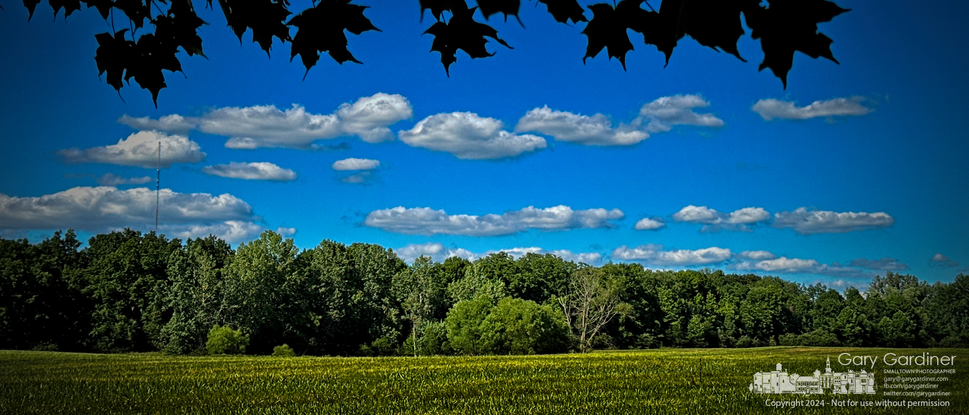 Soft cumulus clouds float across the green field and tree-lined horizon, with overhanging leaves adding a touch of depth to the countryside vista on the sharp Farm. My Final Photo for June 30, 2024.