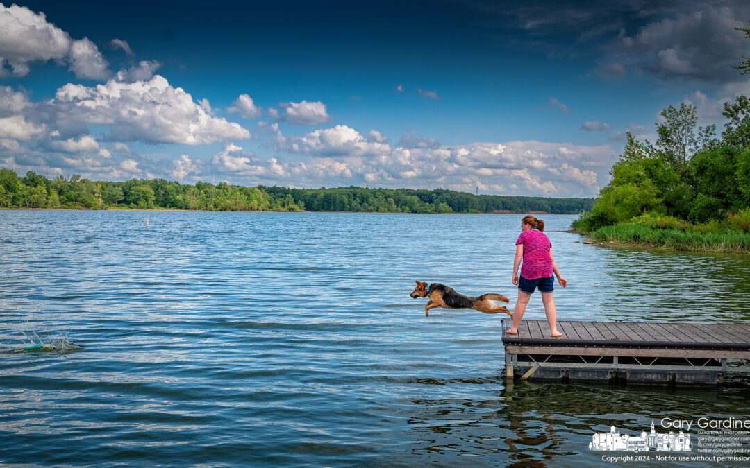 Water Fetch